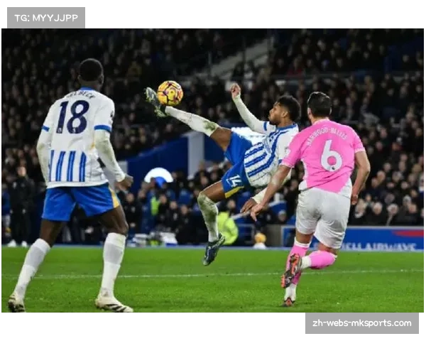 水晶宫布莱顿上演德比 风格对比增添看点 水晶宫布莱顿上演德比 风格对比增添看点